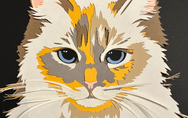close up of custom cat portrait as a layered papercut