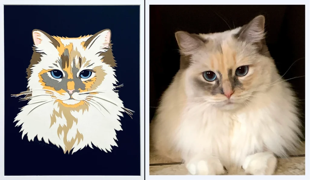 Custom Pet Portrait with the layered papercut version of a cat on the left, and the original cat on the right.